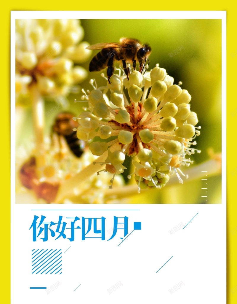 你好四月清新简约背景psd设计背景_新图网 https://ixintu.com 你好四月 大气 清新 花朵 黄色 你好 商业配图 简约背景