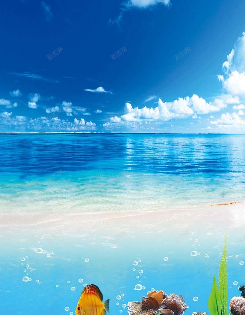 海鲜价目单背景素材psd设计背景_新图网 https://ixintu.com 海底世界 价目单 海鲜 白云 蓝天 海鲜价目单图片下载 沙滩 水草 鱼 石头