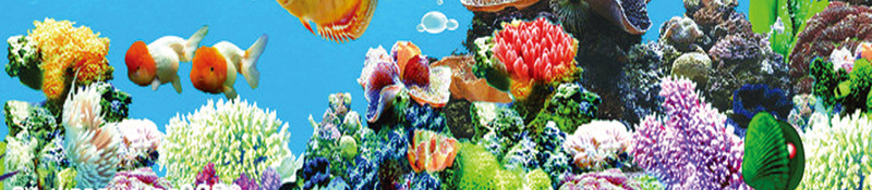海鲜价目单背景素材psd设计背景_新图网 https://ixintu.com 海底世界 价目单 海鲜 白云 蓝天 海鲜价目单图片下载 沙滩 水草 鱼 石头