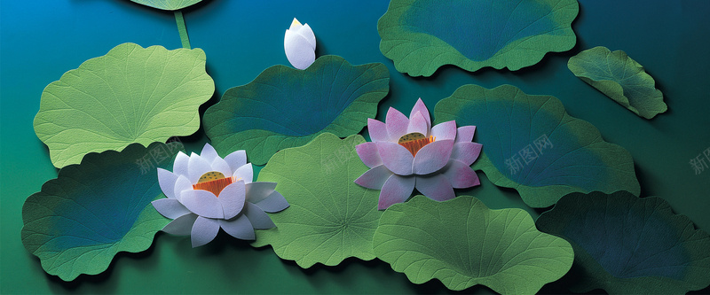 墙壁贴纸画莲花jpg设计背景_新图网 https://ixintu.com 海报banner 墙壁贴纸画 莲花贴纸 立体画