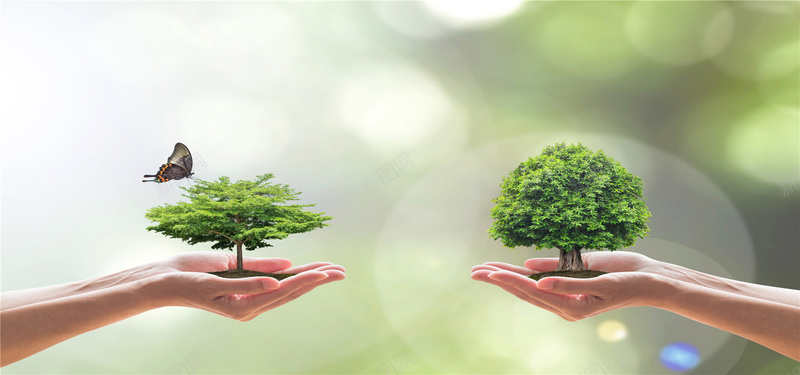 梦幻光斑环保绿树海报背景jpg设计背景_新图网 https://ixintu.com 企业文化 能源 绿树 大树 绿色背景 公益广告 绿色环保 海报banner 摄影 风景