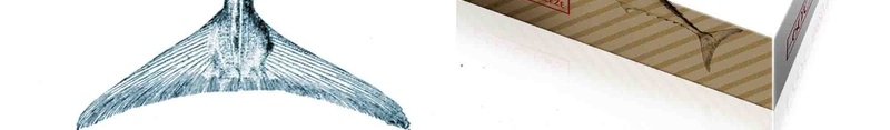 日式简约金枪鱼促销折扣包装盒代金券海报psd设计背景_新图网 https://ixintu.com 金枪鱼 促销 日式 简约 超市 折扣 包装盒 代金券 折扣券 打折 海报 促销海报 促销广告