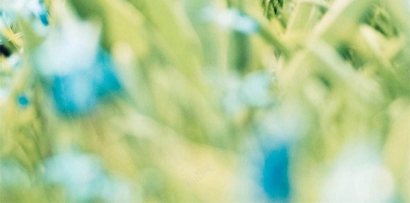 小清新简约手机H5背景jpg设计背景_新图网 https://ixintu.com 花 唯美 浪漫 花季 彩色 小清新 H5 h5 文艺 简约