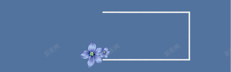 靛蓝背景图jpg设计背景_新图网 https://ixintu.com 蓝色妖姬 女装 深蓝 花朵 蓝色 淘宝 美妆 海报banner