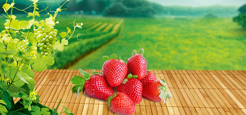 果园背景jpg设计背景_新图网 https://ixintu.com 草莓 木板 葡萄 绿色 清新 果汁 水果 海报banner 文艺 小清新 简约