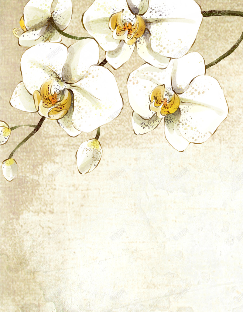 现代清新花卉美妆节电商海报背景psd设计背景_新图网 https://ixintu.com 春暖花开 清新 美容 花卉 鲜花 春季上新 女装活动 淘宝 约惠春天 春女装 印花 美妆节 化妆品