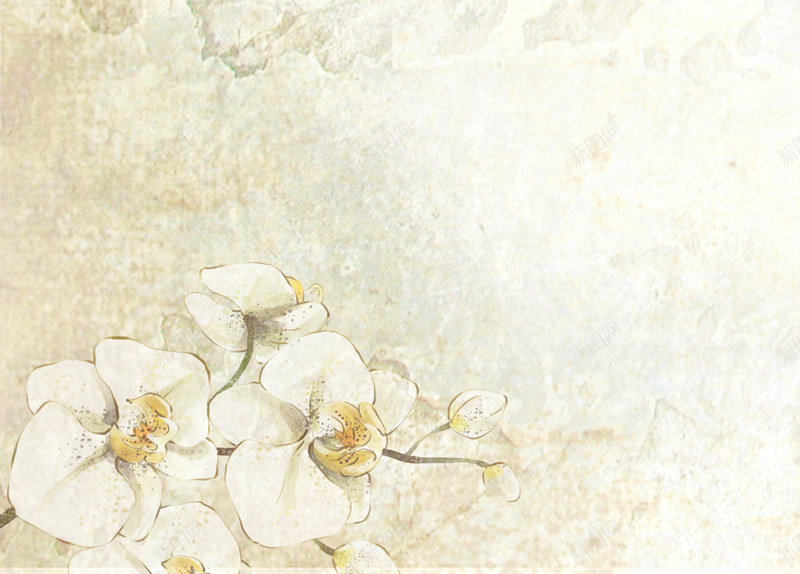 现代清新花卉美妆节电商海报背景psd设计背景_新图网 https://ixintu.com 春暖花开 清新 美容 花卉 鲜花 春季上新 女装活动 淘宝 约惠春天 春女装 印花 美妆节 化妆品