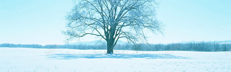 冬季背景jpg设计背景_新图网 https://ixintu.com 冬季 冬天 雪天 雪地 树 冰 冬季羽绒服促销背景 海报banner 摄影 风景