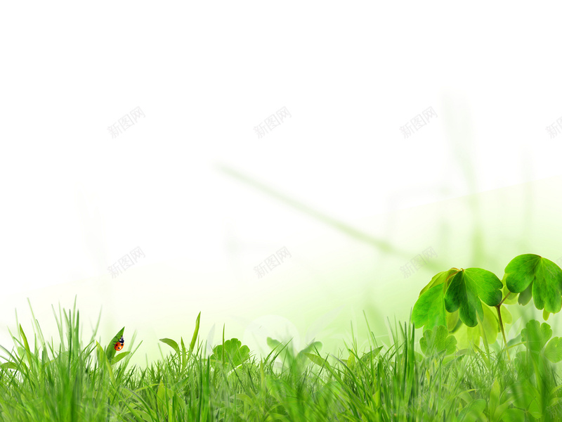 春天绿色jpg设计背景_新图网 https://ixintu.com 春天 绿色 自然 清新 文艺 PPT 小清新 简约