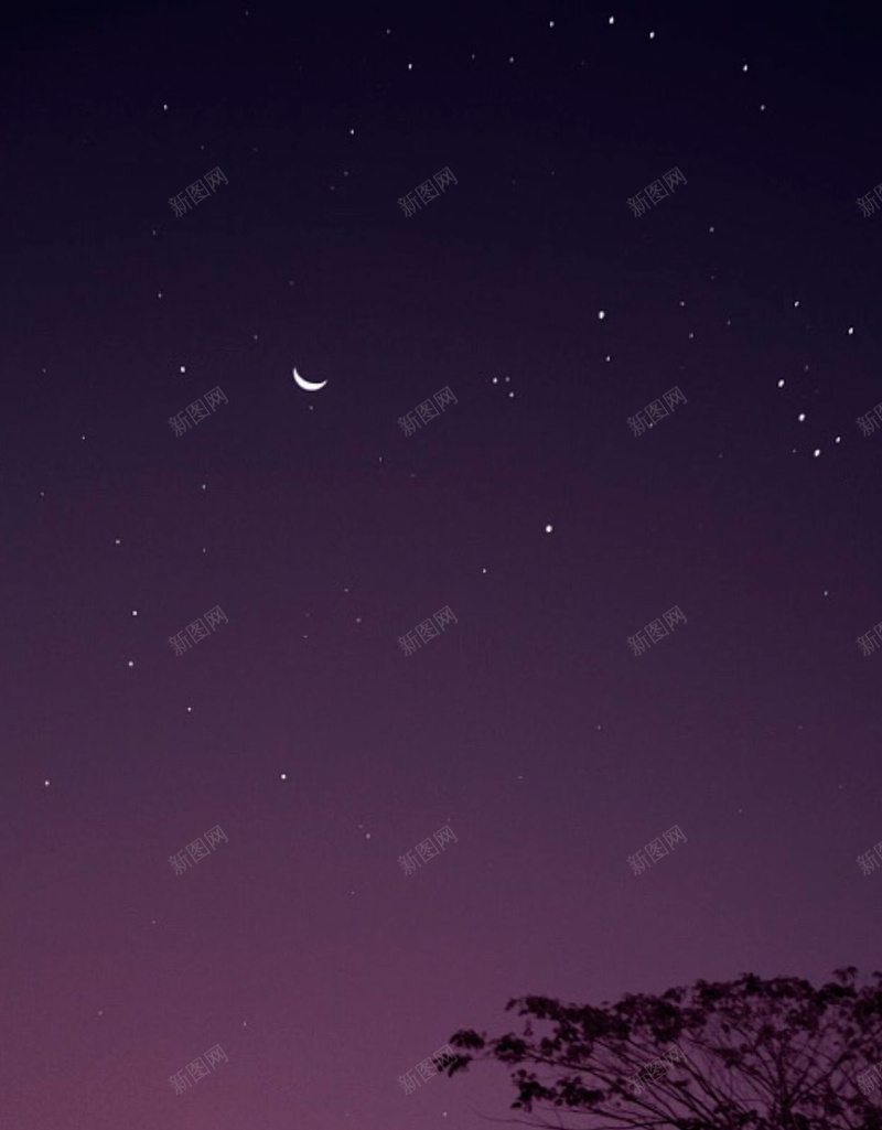 紫色扁平动物剪影背景图jpg设计背景_新图网 https://ixintu.com 动物 大象 扁平 星空 紫色 剪影 小清新 矢量 扁平化