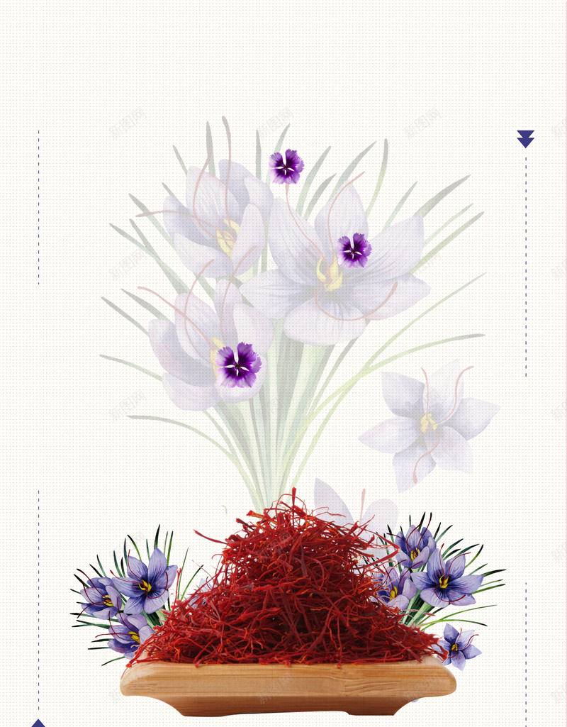 藏红花中草药养生补血海报背景素材psd设计背景_新图网 https://ixintu.com 藏红花海报 养生文化 广告设计 海报背景 养生茶 藏红花中药 藏红花药材 藏红花补血 功效图 温暖