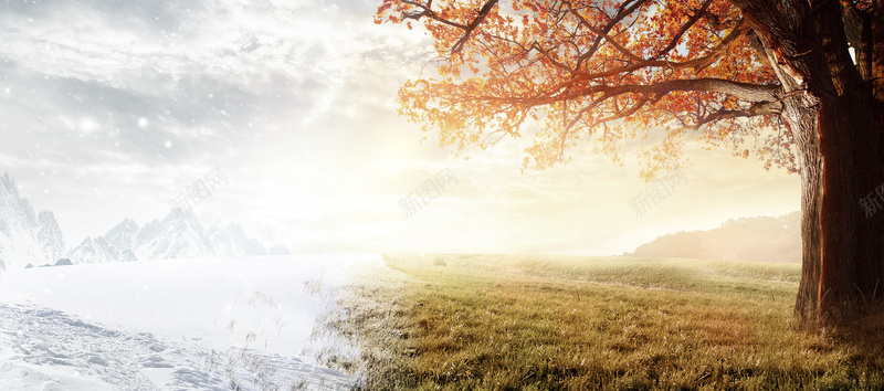 季节转换jpg设计背景_新图网 https://ixintu.com 海报banner