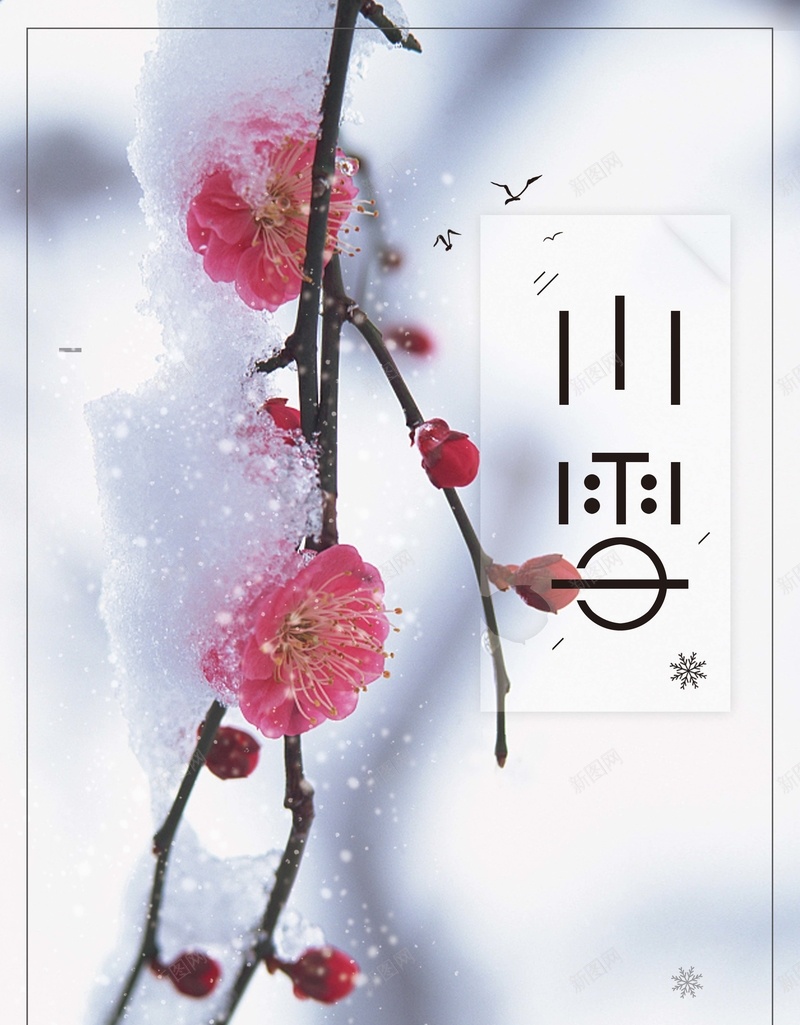 简约清新二十四节气小雪唯美节日海报psd设计背景_新图网 https://ixintu.com 二十四 小雪 清新 简约 节气 唯美 节日 梅花 海报
