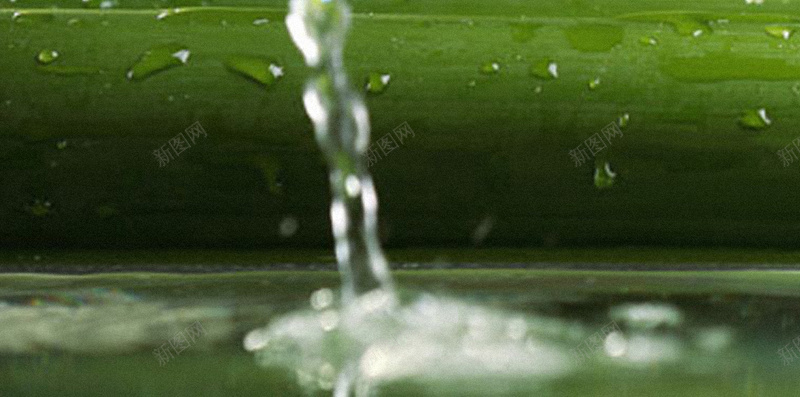 竹林H5背景jpg设计背景_新图网 https://ixintu.com 文艺 流水 清新 竹林 绿色 H5背景 H5 h5 小清新 简约