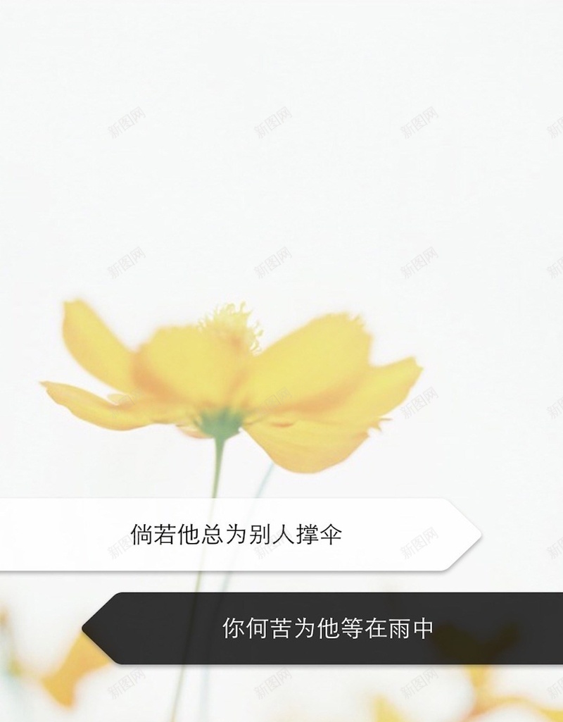 小清新唯美花卉H5背景jpg设计背景_新图网 https://ixintu.com 爱情箴言 小清新 文字控 唯美 锁屏 花卉 H5背景 有爱 情书 H5 h5 文艺 简约