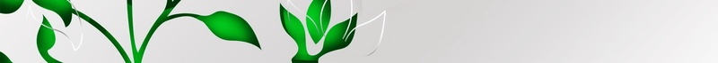 绿茶包装盒广告背景psd设计背景_新图网 https://ixintu.com 产品包装 包装设计 广告设计 盒子设计 礼品包装 绿茶包装盒设计图片免费下载 包装盒设计 食品包装盒 外包装 包装盒设计模板下载 海报 平面 广告 背景 PSD 素材 模板