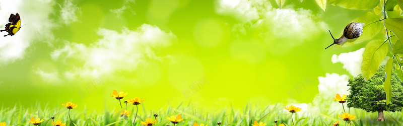 简约唯美绿色海报背景bannerpsd设计背景_新图网 https://ixintu.com 大树 清新 绿色 花草 蜗牛 摄影 海报背景 banner 简约 大气 通用 淘宝海报 背景素材 唯美 背景 海报banner 文艺 小清新