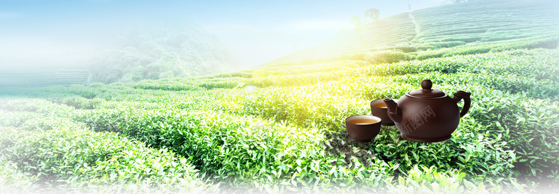 茶叶上市阳光文艺景色绿bannerpsd设计背景_新图网 https://ixintu.com 新茶上市 春茶上市 春茶 绿芽 茶叶 早茶 文艺 小清新 春天 素材 广告 设计 背景 阳光