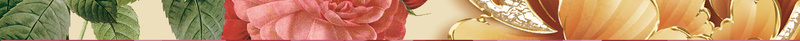 手绘花朵别境psd设计背景_新图网 https://ixintu.com 少女 梦幻 浪漫 花朵 鸟 手绘花朵别境