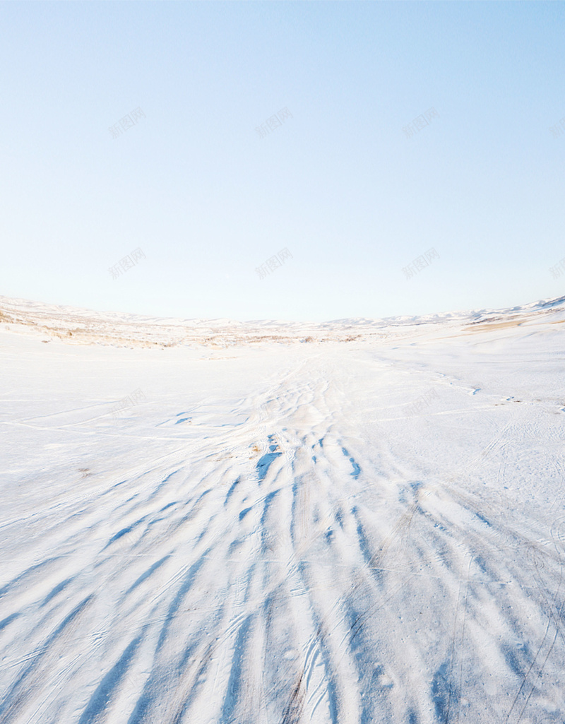 浅蓝色简约雪景四九节气宣传海报jpg设计背景_新图网 https://ixintu.com 中国传统节气 二十四节气 冬季 简约 雪景 四九 四九节气 传统文化 农历腊月十九