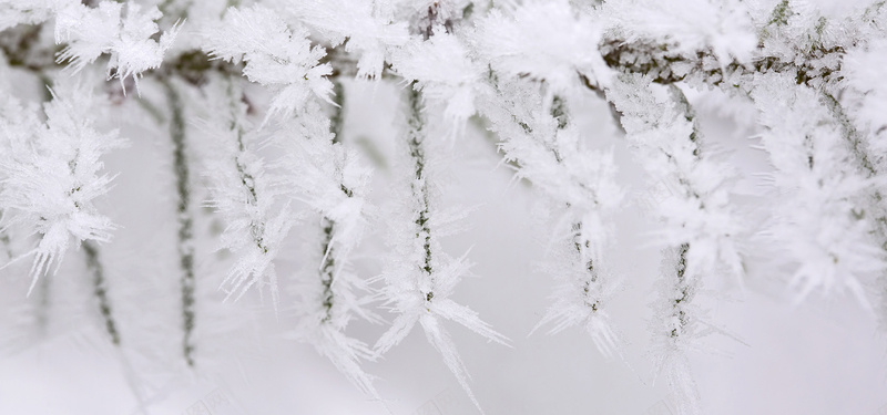冰雪背景jpg设计背景_新图网 https://ixintu.com 冰雪 雪花 圣诞节 寒冷 冬天 唯美 海报banner 摄影 风景