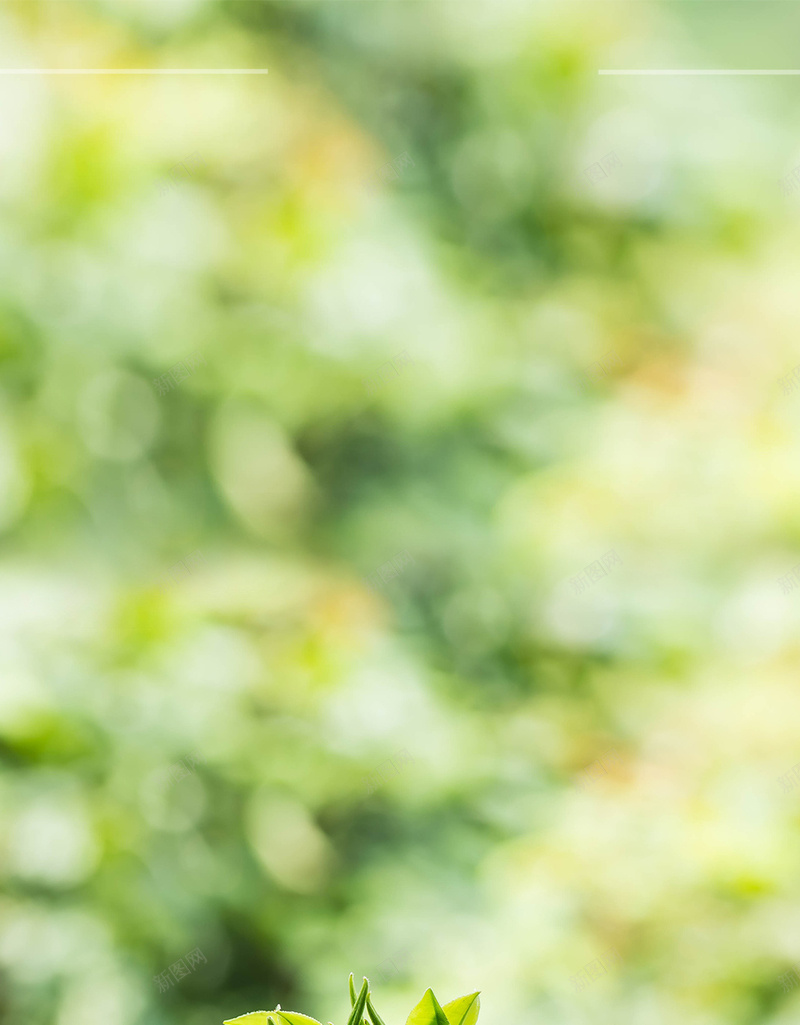 绿色茶叶朦胧背景jpg设计背景_新图网 https://ixintu.com 朦胧背景 绿色 茶叶 茶园 茶桌 茶文化 绿茶背景