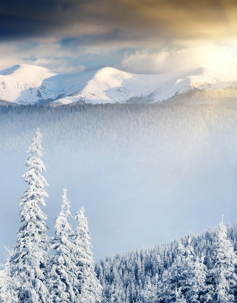 冬季雪景高清H5背景jpg设计背景_新图网 https://ixintu.com 雪景 雪山 树林 雪地 天空 H5 h5 摄影 风景