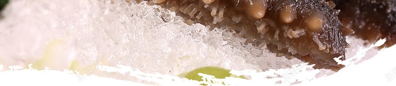 极品简约海鲜海参促销psd设计背景_新图网 https://ixintu.com 150PPI PSD源文件 分层文件 山珍海味 平面设计 海参 海鲜 海鲜城 海鲜宣传单 海鲜店 生猛海鲜 美味 美食