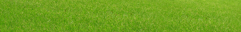 植树节简约绿色节日宣传海报背景素材psd设计背景_新图网 https://ixintu.com 植树节宣传海报 312植树节 植树节展板 绿色海报 简约 草原 大自然 植树 森林 节日宣传海报