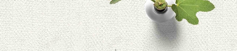 花朵浪漫母亲节贺卡背景psd设计背景_新图网 https://ixintu.com 母亲节 花卉 花朵 花草 花 花团锦簇 盛开 盛放 开花 鲜艳 感恩母亲节