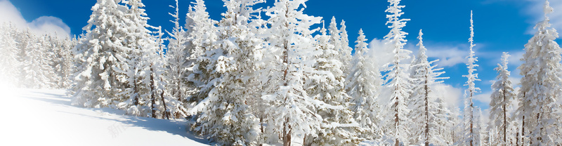 雪地靴冬季雪景背景bannerpsd设计背景_新图网 https://ixintu.com 海报banner banner 冬季 背景 雪景 雪地靴 其他