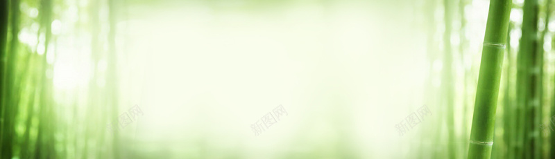 竹林模糊绿背景jpg设计背景_新图网 https://ixintu.com 竹林 模糊 绿背景 海报banner