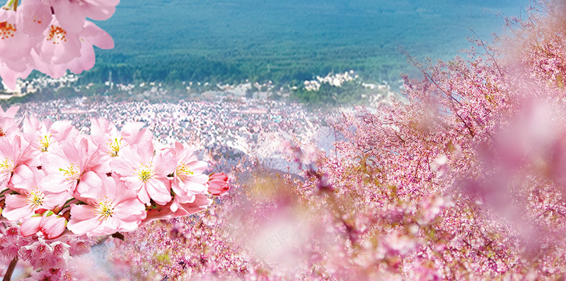 醉美樱花节日本旅游H5海报背景psd下载psd设计背景_新图网 https://ixintu.com 富士山 樱花节 旅游 日本 雪山 醉美樱花节 樱花 花枝 花朵 蓝天 白云 醉美 H5 psd h5