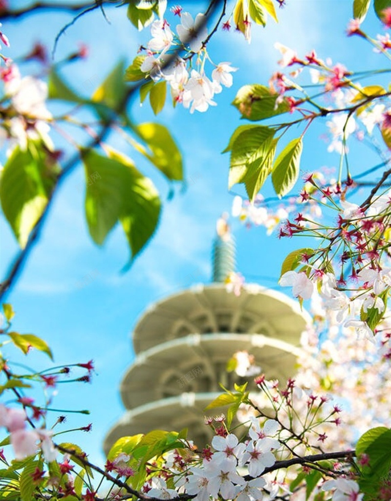 花朵小清新H5背景jpg设计背景_新图网 https://ixintu.com 桃花 樱花 塔 风景 彩色 H5 h5 摄影