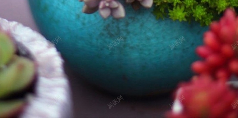 文艺清新多肉植物H5背景jpg设计背景_新图网 https://ixintu.com 多肉 彩色 植物 清新 萌 文艺 H5 h5 小清新 简约