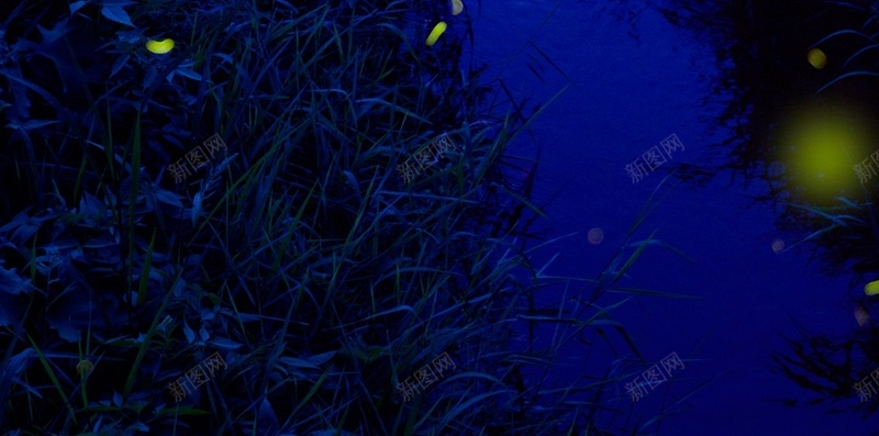 简约风景高清大图H5背景jpg设计背景_新图网 https://ixintu.com 绿色 草地 小溪 萤火虫 风景 H5 h5 摄影