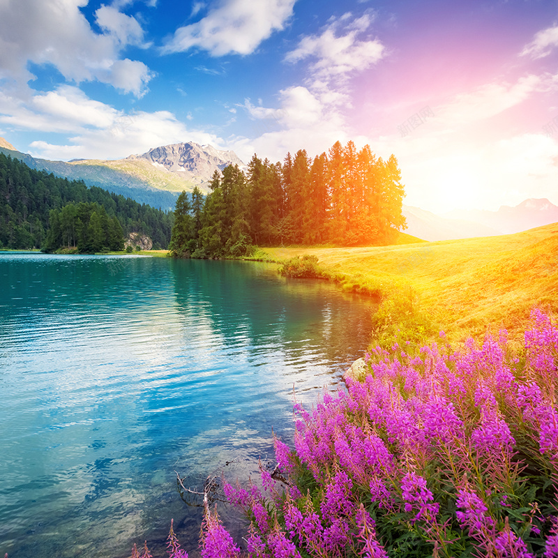 唯美风景摄影jpg_新图网 https://ixintu.com 风景 唯美 自然 花朵 湖水 主图 摄影