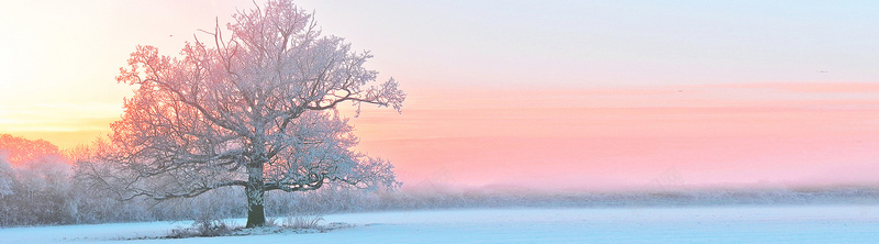 冬天雪景banner创意设计jpg设计背景_新图网 https://ixintu.com 天空 山峰 积雪 色彩 路 海报banner 其他