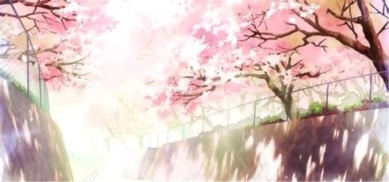 樱花树背景背景