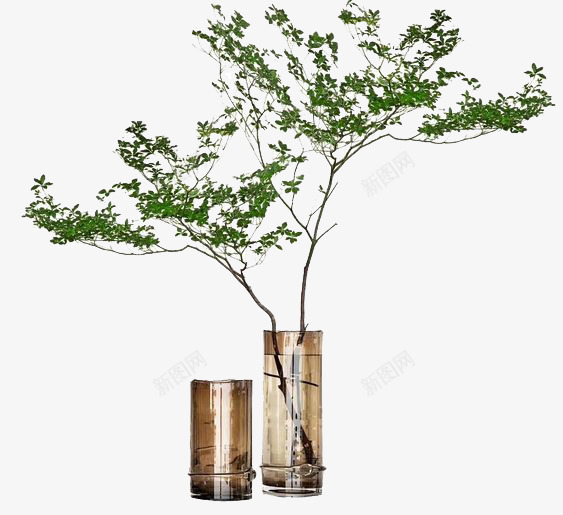 H花艺png免抠素材_新图网 https://ixintu.com 花艺