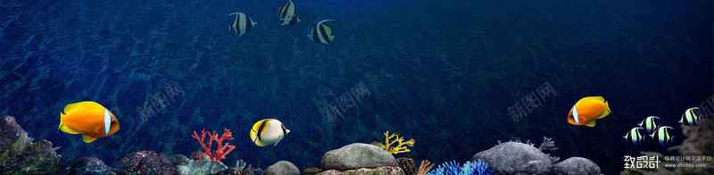 海底世界梦幻背景图jpg设计背景_新图网 https://ixintu.com 海底世界 梦幻背景图 海洋 展板 海报 蓝色 科技 科幻 商务