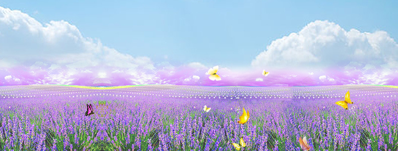 紫色薰衣草背景psd设计背景_新图网 https://ixintu.com 紫色 唯美 清新 蝴蝶 详情页海报 文艺 小清新 简约