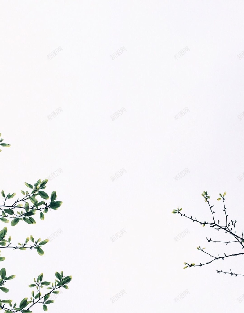 绿色植物H5背景jpg设计背景_新图网 https://ixintu.com 女装 文艺 植物 清新 绿色 H5背景 H5 h5 小清新 简约