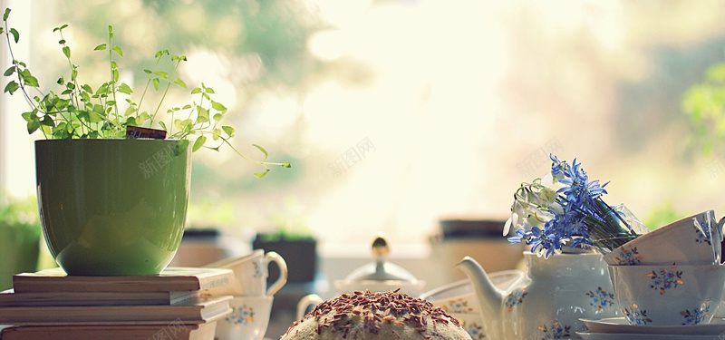 盆景植物背景jpg设计背景_新图网 https://ixintu.com 植物 盆景 背景 海报banner 摄影 风景