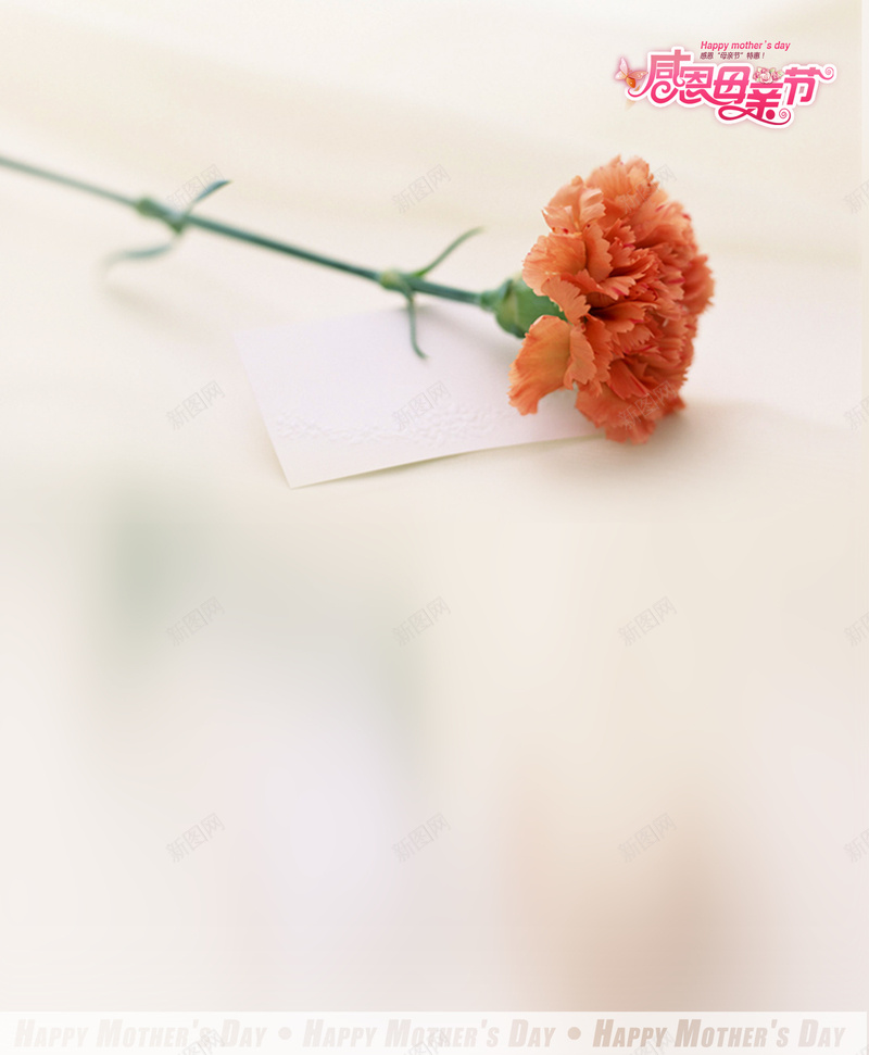 母亲节海报背景设计psd设计背景_新图网 https://ixintu.com 母亲节 康乃馨 白色 文艺 小清新 简约