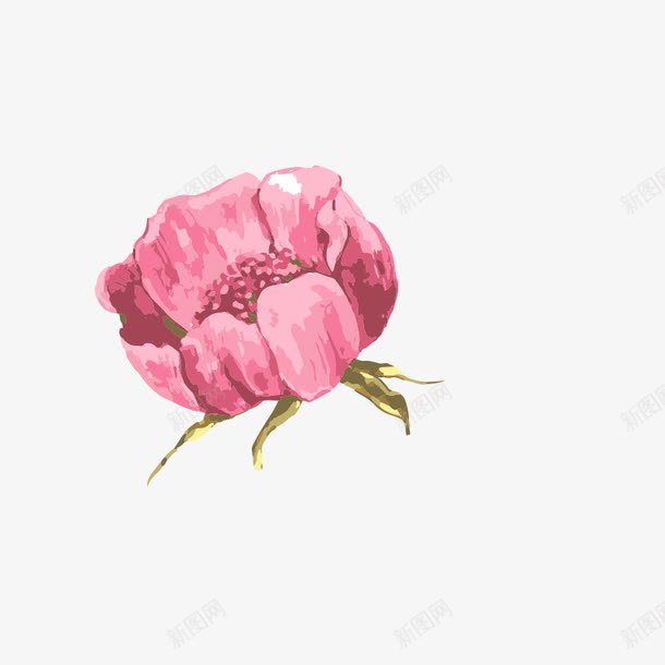 手绘花朵唯美水彩油画效果png免抠素材_新图网 https://ixintu.com 手绘花朵 唯美 水彩 油画效果 花朵 树叶