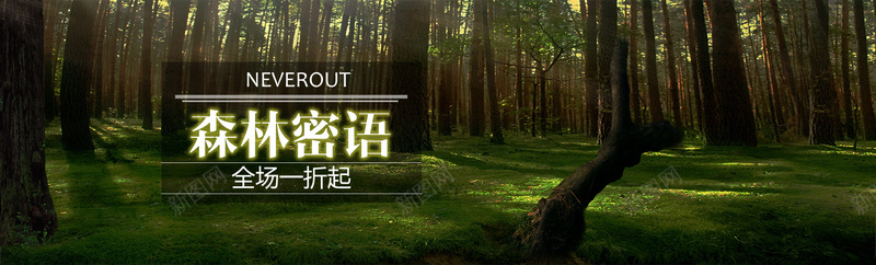 绿色深林psd设计背景_新图网 https://ixintu.com 海报banner 化妆品背景 绿色深林 深林密语