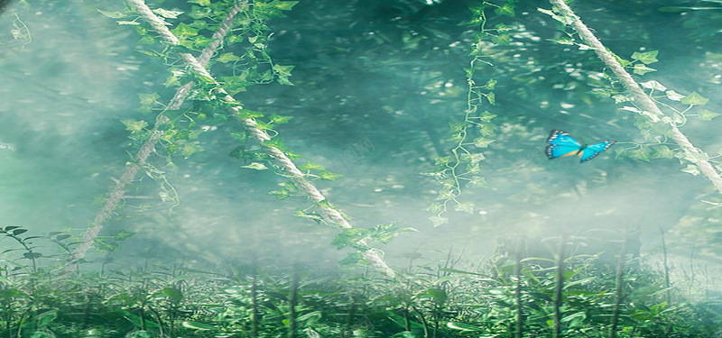 绿色仙气唯美背景psd设计背景_新图网 https://ixintu.com 海报banner 绿色 藤蔓 蝴蝶