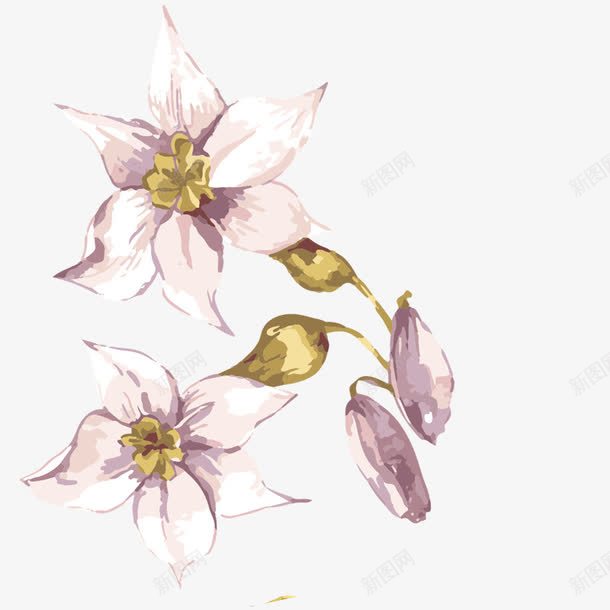 手绘花朵唯美水彩油画效果png免抠素材_新图网 https://ixintu.com 手绘花朵 唯美 水彩 油画效果 花朵 树叶
