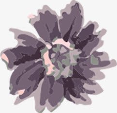 创意合成水彩花卉植物效果png免抠素材_新图网 https://ixintu.com 创意 合成 水彩 花卉 植物 效果